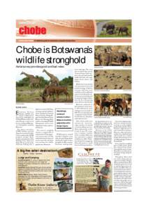 Chobe is Botswana’s wildlife stronghold Aerial survey provides good and bad news Buffalo and Zebra