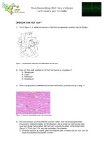 Voorbereiding NLT live college ‘120 beats per minute’ OPBOUW VAN HET HART 1. Vul in figuur 1 in welke structuren in het hart aangewezen worden met de lijntjes.