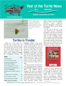 Year of the Turtle News No. 3 March[removed]Basking in the Wonder of Turtles