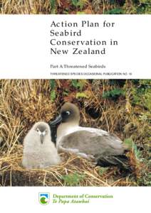 Procellariiformes / Zoology / Birds of New Zealand / Birds of Western Australia / Albatross / Magenta Petrel / Bird conservation / Bird / Mike Imber / Seabirds / Ornithology / Neognathae