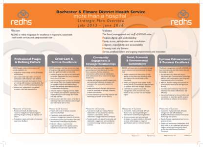 Rochester & Elmore District Health Service Strategic Plan Over view July 2013 – June 2016 Vision  Values