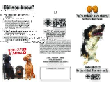 Did you know? •	 Pet overpopulation is at crisis levels 	 in Ontario. •	 Each year, tens of thousands of dogs 	 and cats end up on the streets, where 	 they fall victim to neglect and abuse,
