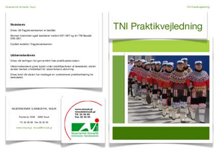 Niuernermik Ilinniarfik, Nuuk	  TNI Praktikvejledning Skolebevis Gives når Fagprøveeksamen er bestået.