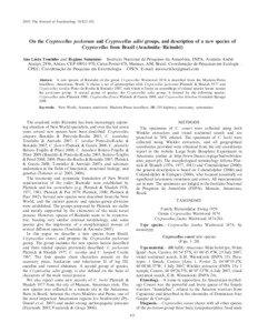 2010. The Journal of Arachnology 38:425–432  On the Cryptocellus peckorum and Cryptocellus adisi groups, and description of a new species of