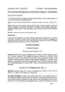 Prokofiev paper 2012.cwk (WP)