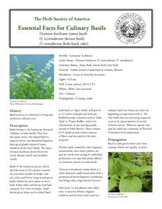 The Herb Society of America  Essential Facts for Culinary Basils Ocimum basilicum (sweet basil) O. xcitriodorum (lemon basil) O. tenuiflorum (holy basil, tulsi)