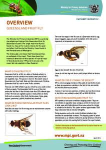 Bactrocera tryoni / Agriculture / Phyla / Protostome / Acca sellowiana / Biological pest control / Melon fly / Sterile insect technique / Bactrocera / Agricultural pest insects / Dacinae