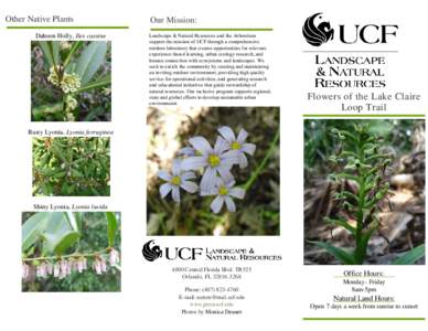 Other Native Plants Dahoon Holly, Ilex cassine Our Mission: Landscape & Natural Resources and the Arboretum support the mission of UCF through a comprehensive