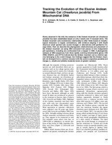 Tracking the Evolution of the Elusive Andean Mountain Cat (Oreailurus jacobita) From Mitochondrial DNA