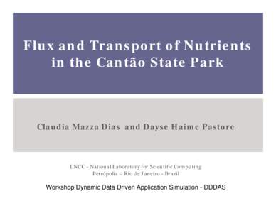 Flux and Transport of Nutrients in the Cantão State Park Claudia Mazza Dias and Dayse Haime Pastore  LNCC - National Laboratory for Scientific Computing