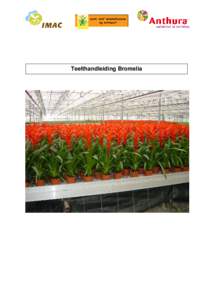 Teelthandleiding Bromelia  Introductie Bromelia