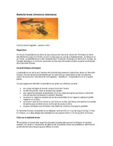 Microsoft Word[removed]Brown Bullhead - Barbotte brune - FR.doc