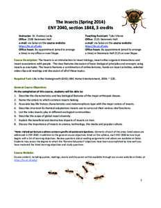 The Insects (SpringENY 2040, section 1848, 3 credits Instructor: Dr. Andrea Lucky Office: 2108 Steinmetz Hall e-mail: via Sakai on the course website: