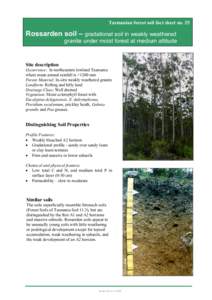 Tasmanian forest soil fact sheet no. 25  Rossarden soil – gradational soil in weakly weathered granite under moist forest at medium altitude  Site description