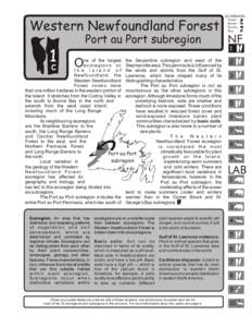 Serpentine soil / Interim Biogeographic Regionalisation for Australia / Newfoundland and Labrador / Newfoundland / Geography / Americas / Physical geography / Port au Port Peninsula / Ecoregion