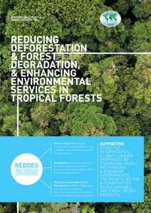 INTERNATIONAL TROPICAL TIMBER ORGANIZATION Actively supports emerging international and national priorities on REDD+ policy development and