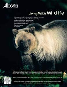 Living With  Wildlife Canmore has made great strides in reducing conflicts with bears through actions like bear-proofing