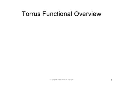 Torrus Functional Overview  Copyright © 2008 Stanislav Sinyagin 1