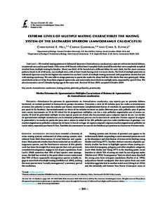 The Auk 127(2):300−307, 2010  The American Ornithologists’ Union, 2010. Printed in USA. Extreme Levels of Multiple Mating Characterize the Mating System of the Saltmarsh Sparrow (Ammodramus Caudacutus)