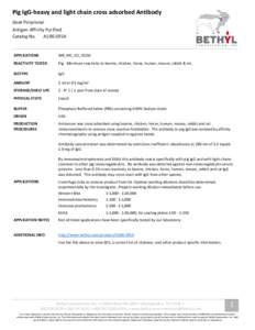 Pig IgG-heavy and light chain cross adsorbed Antibody Goat Polyclonal Antigen Affinity Purified Catalog No. A100-205A