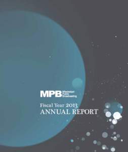 2013 Annual Report Fiscal Year