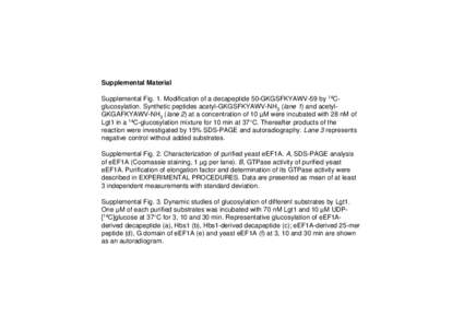 Supplemental Material Supplemental Fig. 1. Modification of a decapeptide 50-GKGSFKYAWV-59 by 14Cglucosylation. Synthetic peptides acetyl-GKGSFKYAWV-NH2 (lane 1) and acetylGKGAFKYAWV-NH2 (lane 2) at a concentration of 10 