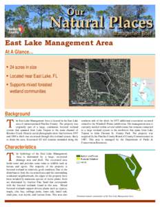 Environment / Knowledge / Pinellas Trail / Pinellas County /  Florida / Wetland / Ecology