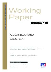 Agence Française de Développement  Working Paper  September 2013