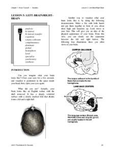 Biology / Cognitive science / Neuropsychology / Lateralization of brain function / Split-brain / Brain / Cerebral hemisphere / Human brain / Herrmann Brain Dominance Instrument / Anatomy / Neuroscience / Cerebrum