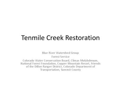 Tenmile Creek Restoration