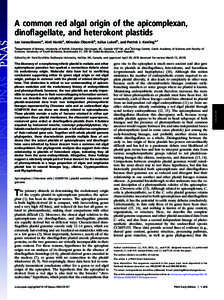 A common red algal origin of the apicomplexan, dinoﬂagellate, and heterokont plastids Jan Janouškoveca, Aleš Horáka, Miroslav Oborníkb, Julius Lukešb, and Patrick J. Keelinga,1 a Department of Botany, University o