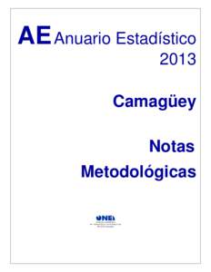 AE Anuario Estadístico 2013 Camagüey Notas Metodológicas