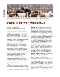 Research “Use of antimicrobial peptides as adjuvants for vaccines against Mycoplasma bovis” Trying to Prevent Mycoplasma Project No.: [removed]Research Institution: Vaccine and