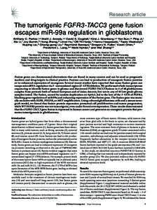 Research article  The tumorigenic FGFR3-TACC3 gene fusion escapes miR-99a regulation in glioblastoma Brittany C. Parker,1,2 Matti J. Annala,1,3 David E. Cogdell,1 Kirsi J. Granberg,1,3 Yan Sun,1,4 Ping Ji,1 Xia Li,1 Joy 