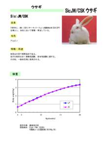 ウサギ Slc:JW/CSK 由来 1990年に（株）CSKリサーチパークより種動物JW/CSK(SPF) を導入し、当社において繁殖・育成している。