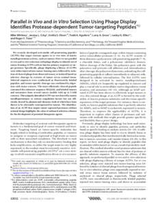 Posttranslational modification / Protease / Serpin / Lambda phage / Trypsin / Cell-penetrating peptide / Elastase / Phage display / Plasmin / Biology / Peptidase / Microbiology