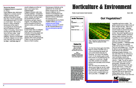 Agricultural soil science / Garden pests / Sustainable agriculture / Digitaria / Sustainable gardening / Agronomy / Raised bed gardening / Gardening / Weed control / Agriculture / Land management / Landscape architecture