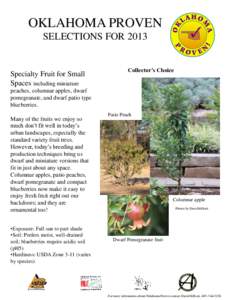 OKLAHOMA PROVEN SELECTIONS FOR 2013 Specialty Fruit for Small Spaces including miniature