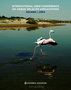 INTERNATIONAL USER CONFERENCE ON ARGOS WILDLIFE APPLICATIONS IUCAWA | 2014 Greater Flamingo by Salim Javed