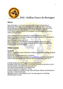 1  RAS –Griffon Fauve de Bretagne