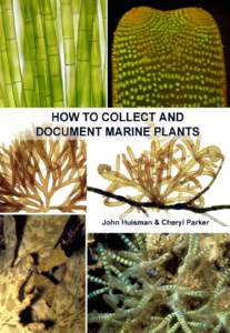 Marine Plant Project Final Report