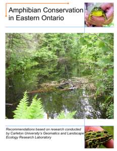 Amphibian Conservation in Eastern Ontario Recommendations based on research conducted by Carleton University’s Geomatics and Landscape Ecology Research Laboratory
