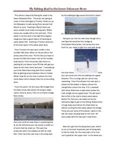 Fly fishing shad in the lower Delaware River This article is about fly fishing for shad in the lower Delaware River. The area I am going to