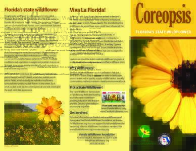 Florida’s state wildflower  Viva La Florida! Florida’s state wildflower is Coreopsis, commonly called Tickseed. Most of the 16 species that occur here are native to