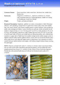Biology / Nephrolepis / Fern / Frond / Tuber ladder fern / Botany / Nephrolepis cordifolia / Nephrolepis exaltata