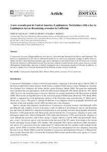 Cryptaspasma / Flora / Avocado / Homona spargotis / Argyrotaenia / Biogeography / Collogenes / Ctenopseustis herana / Tropics / Archipini / Microcorsini / Tortricidae