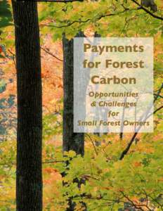 Payments for Forest Carbon Opportunities & Challenges for