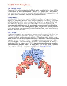 July 2005: TATA-Binding Protein TATA-Binding Protein The enzyme RNA polymerase performs the delicate task of unwinding the two strands of DNA and transcribing the genetic information into a strand of RNA. But how does it