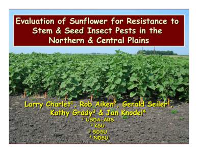 Microsoft PowerPoint - Sunfl Insect Resistance NSA Forum 2008 compress.ppt