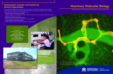 Undergraduate, Graduate and Postdoctoral Research Opportunities Veterinary Molecular Biology faculty are highly competitive researchers with funding from many grant sources including the National Institutes of Health, Un